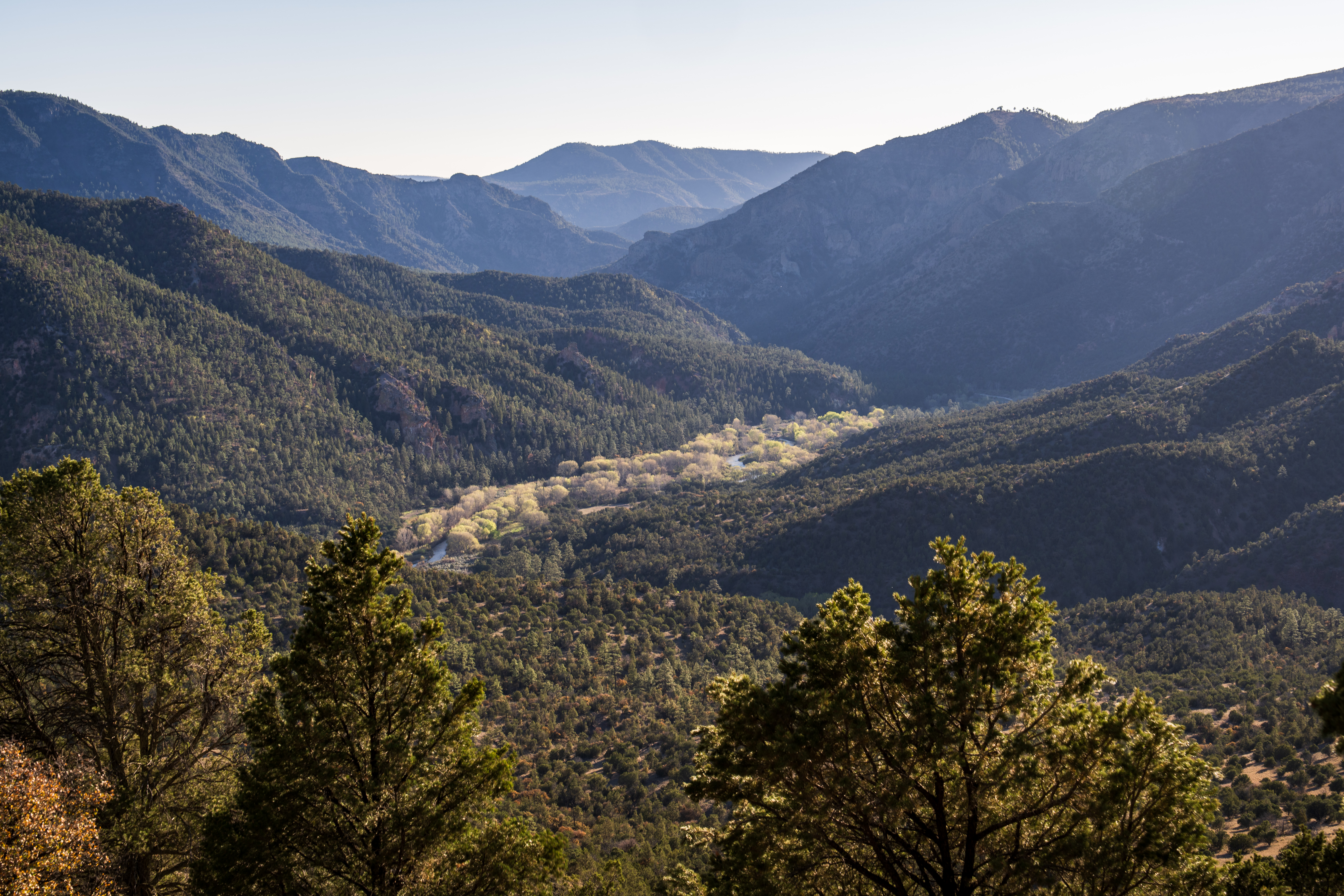 A view of the Gila River inside Gila National Forest.