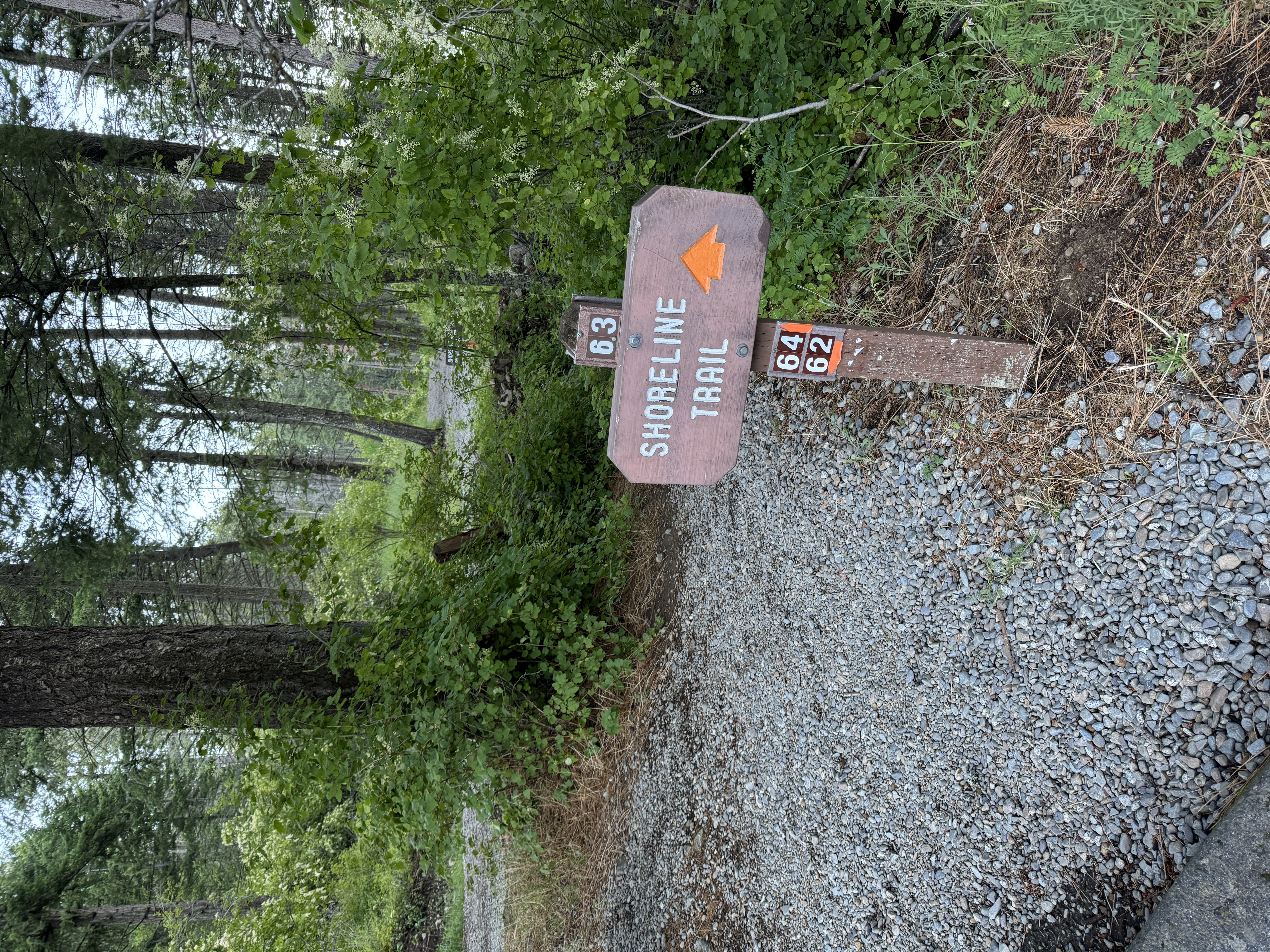 A Shoreline Trail sign in the Idaho Panhandle National Forest.