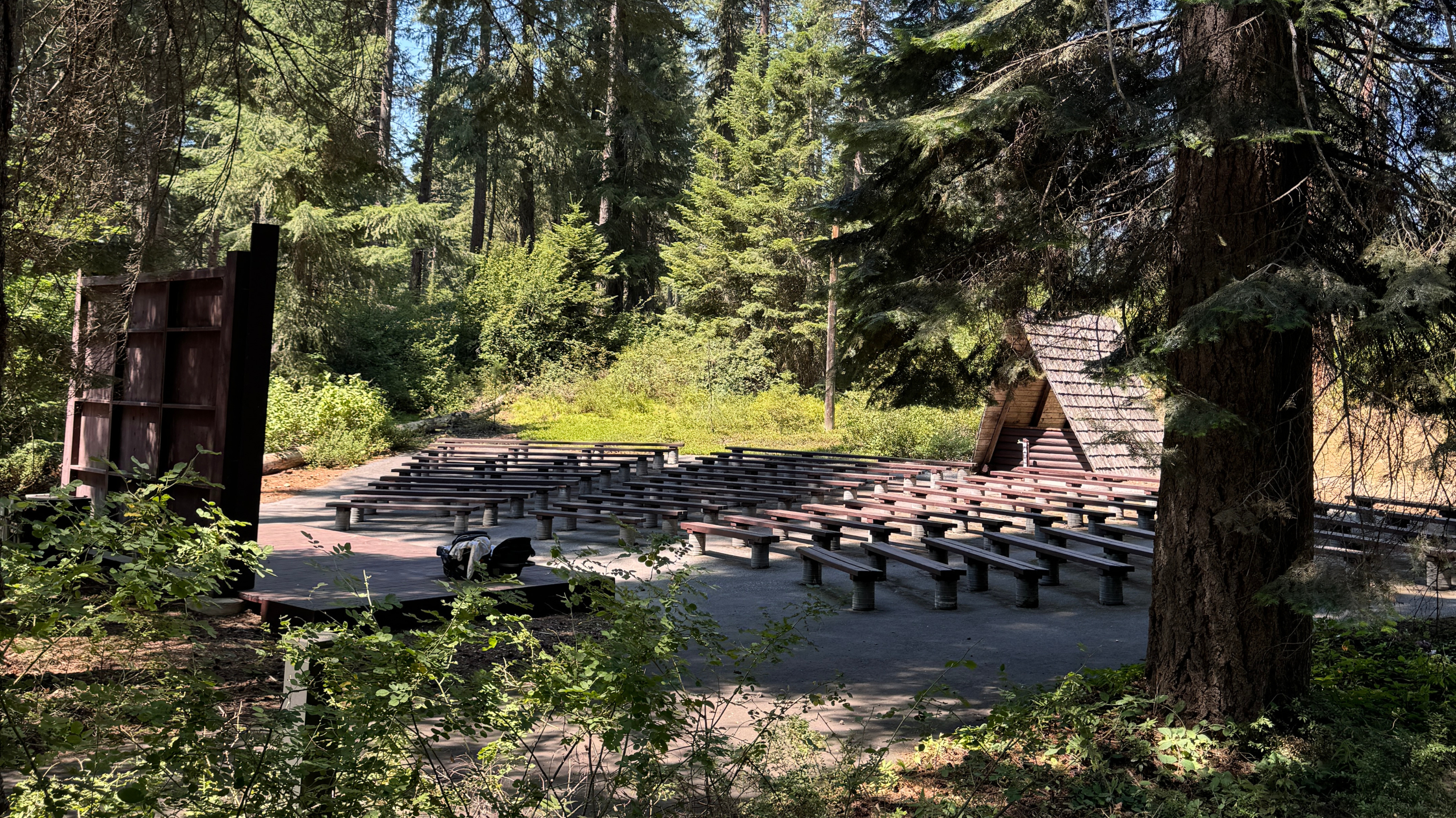 A National Forest amphitheater where kids can learn.
