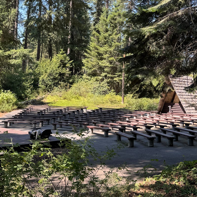 A National Forest amphitheater where kids can learn.