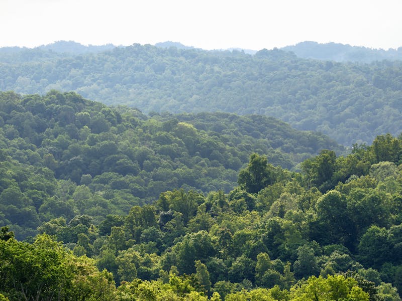 A view of wooded hills in Wayne National Forest.