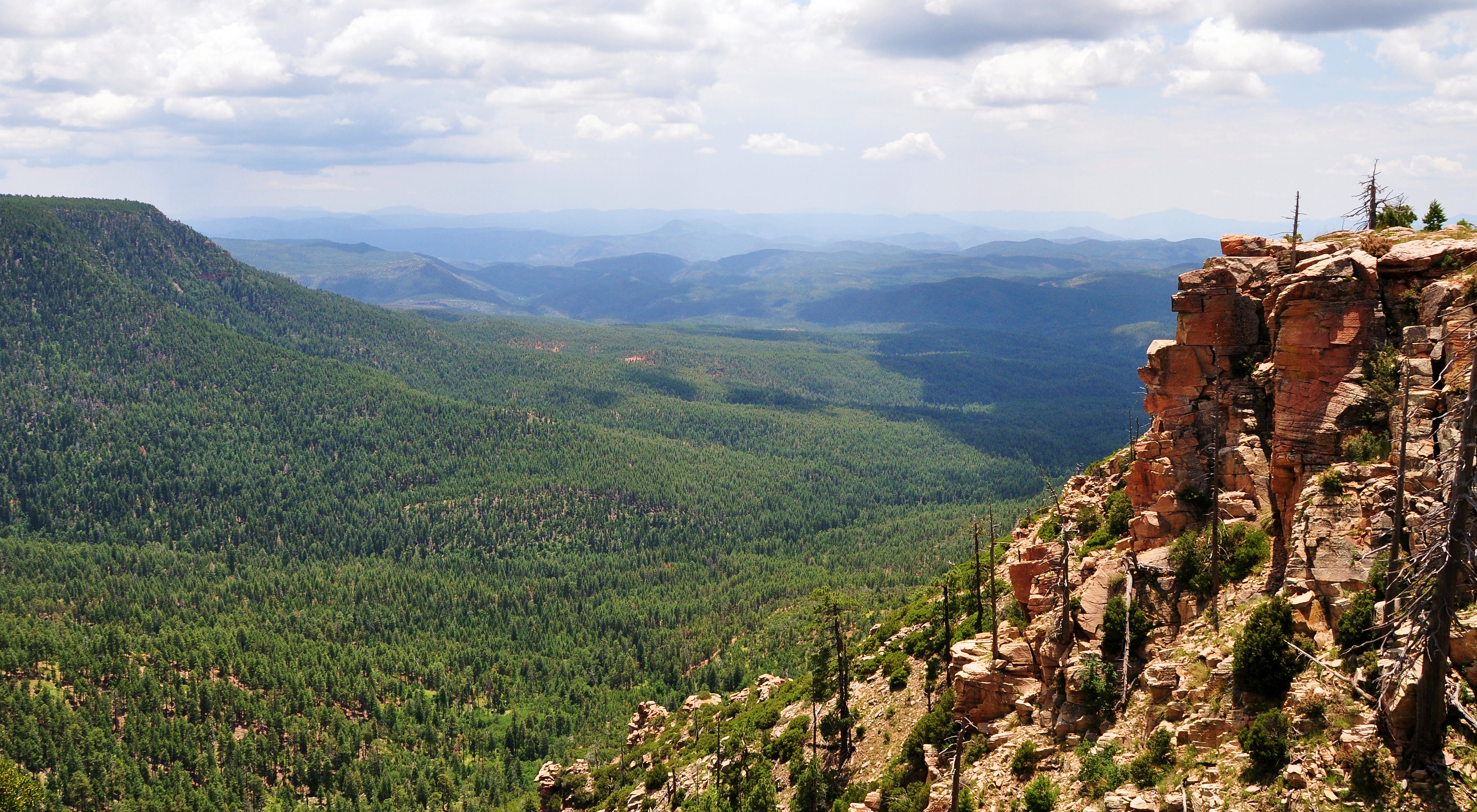 RV Travel Guide — Camping in ApacheSitgreaves National Forest THOR