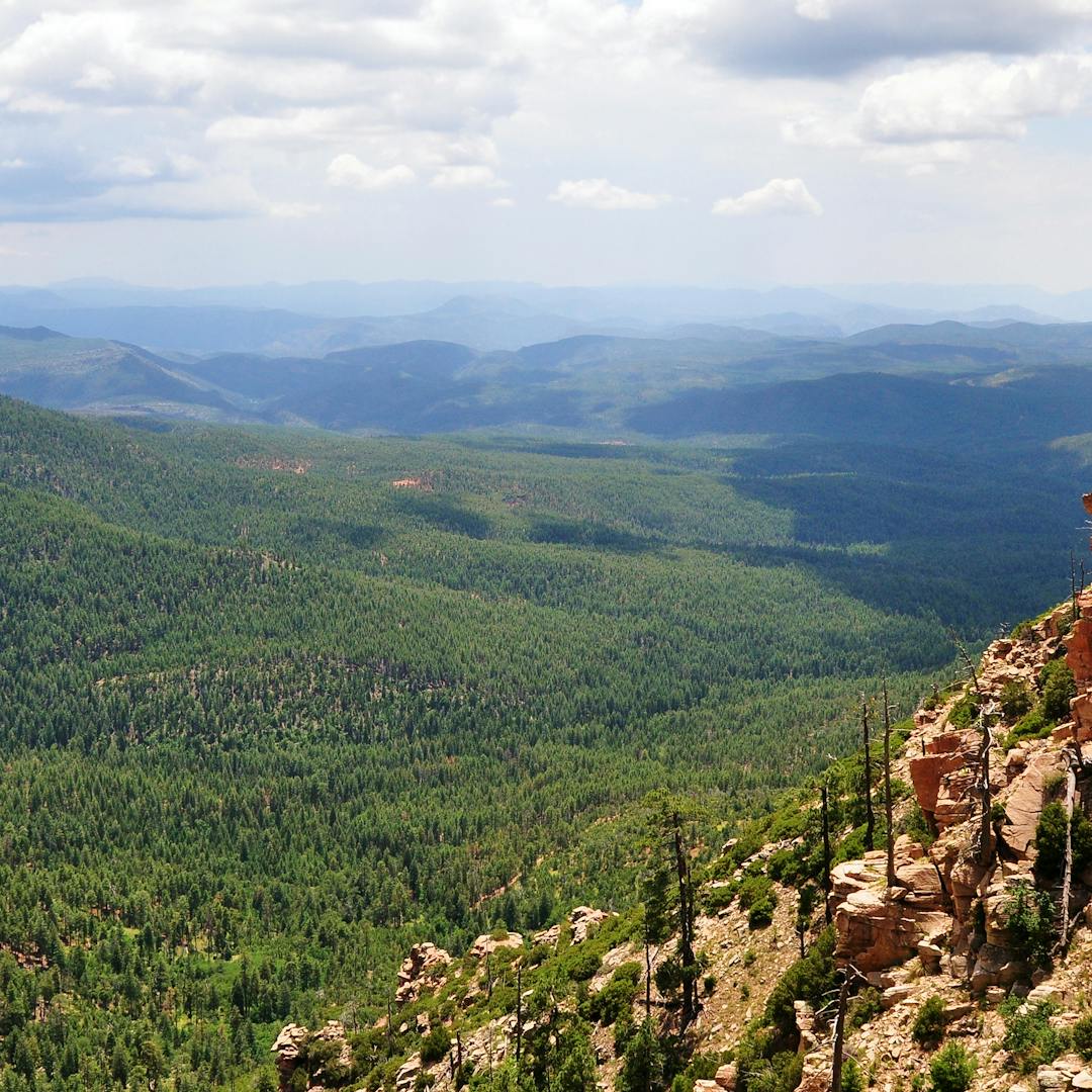 RV Travel Guide — Camping in ApacheSitgreaves National Forest THOR