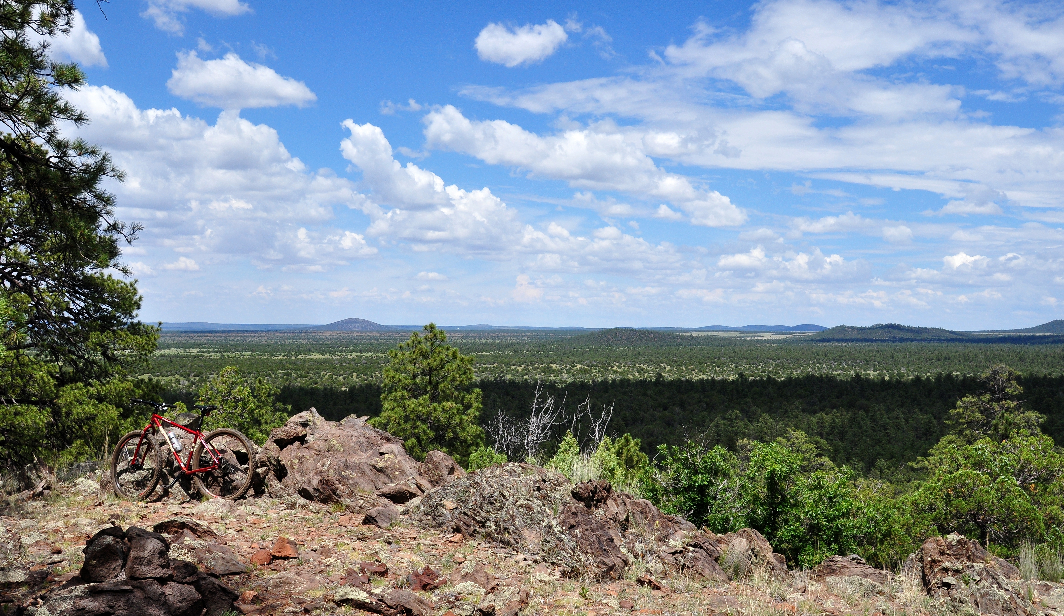 A view of a valley in Apache-Sitgreaves National Forest.