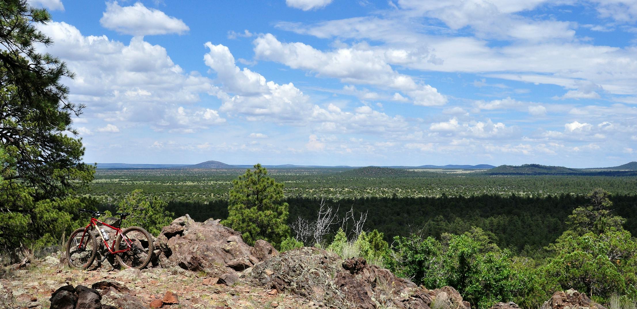 A view of a valley in Apache-Sitgreaves National Forest.