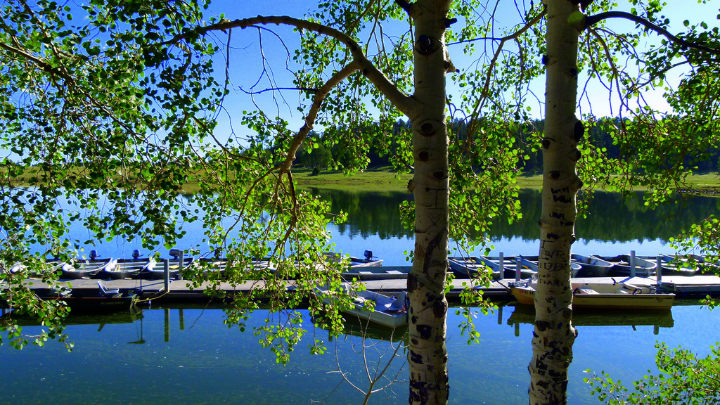 A boat dock on Big Lake in Apache-Sitgreaves National Forest.