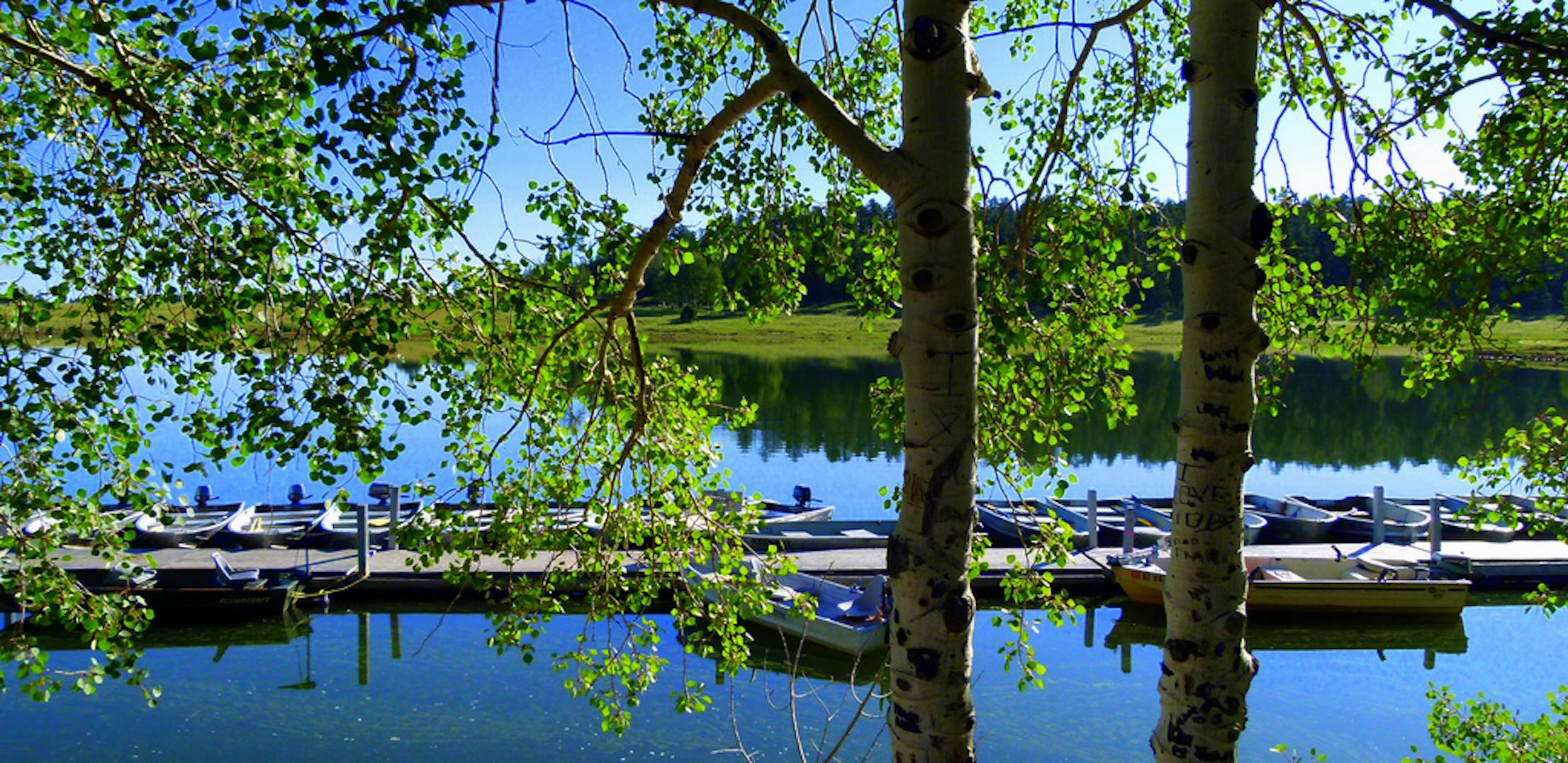A boat dock on Big Lake in Apache-Sitgreaves National Forest.