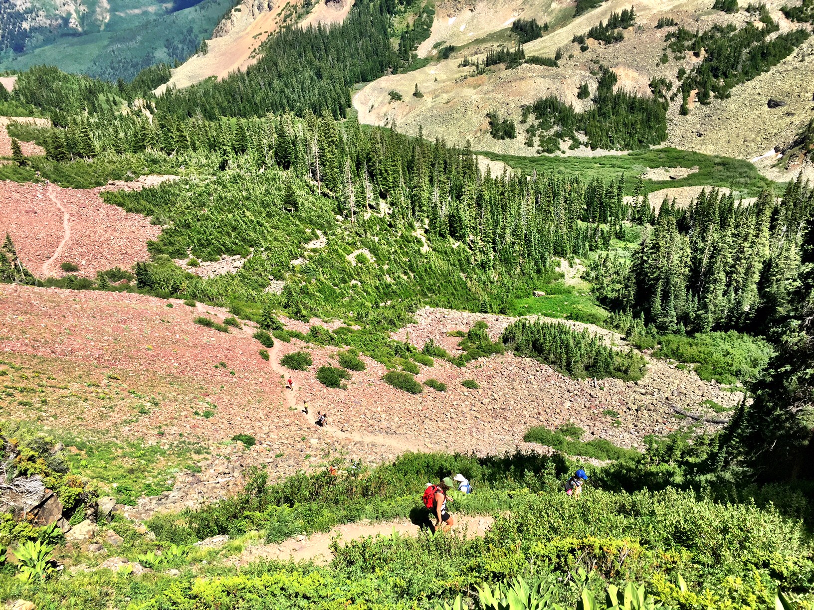 A valley with shrubs and trees in White River National Forest.
