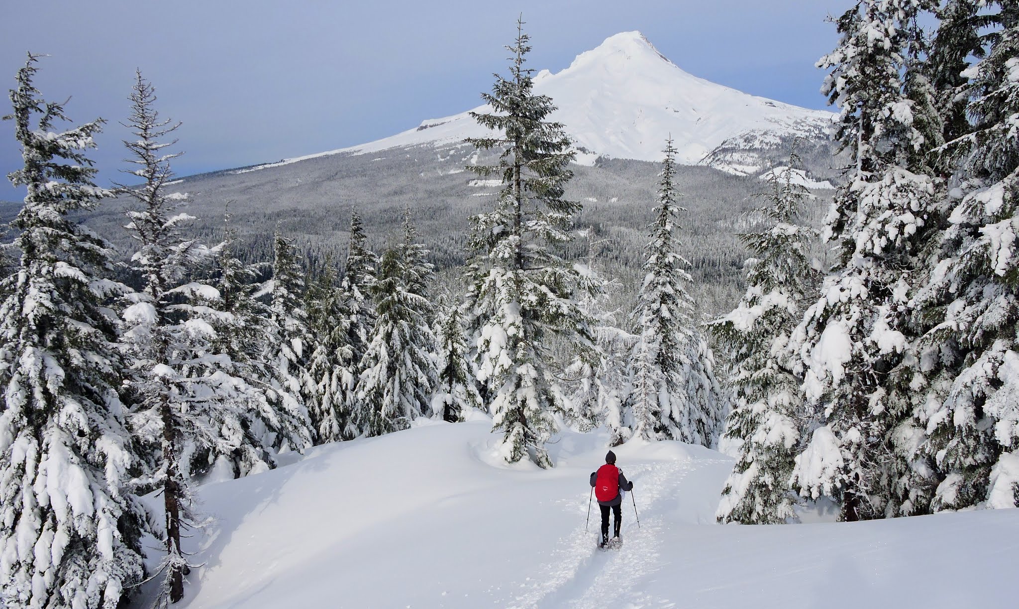 A snowy trail along Bennett's Pass in Mt. Hood National Forest.