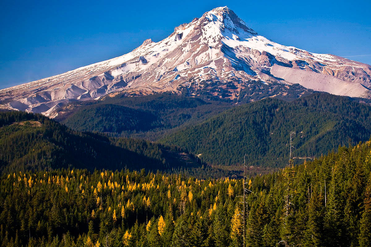 A view of Mt. Hood and the Lower White River Wilderness in Mt. Hood National Forest.