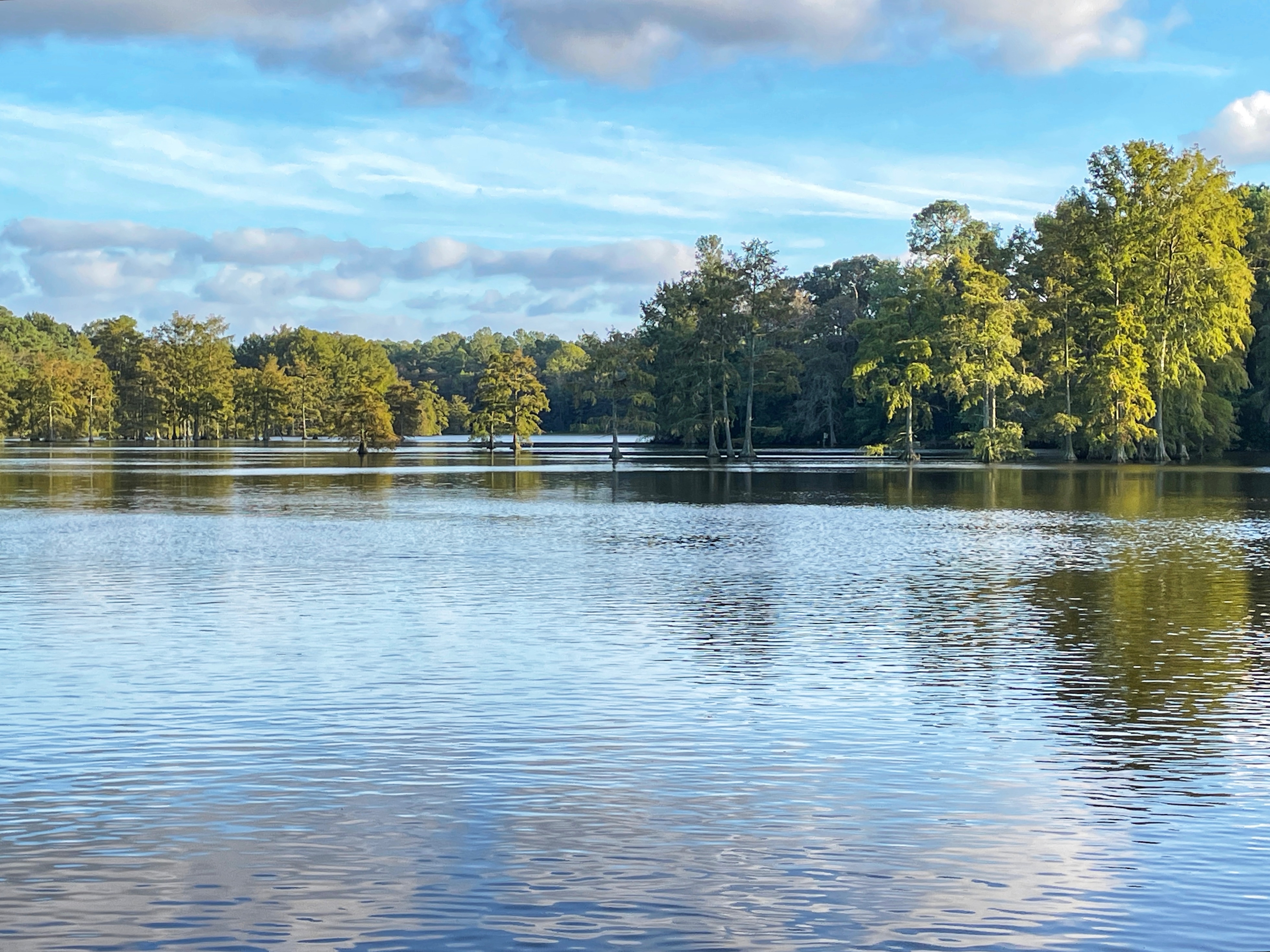 3. Trap Pond State Park