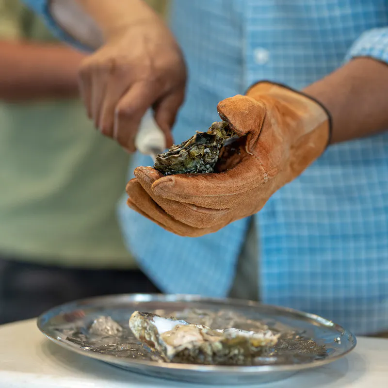 A close-up of hands in a leather glove shucking a fresh oyster over a silver platter of ice.