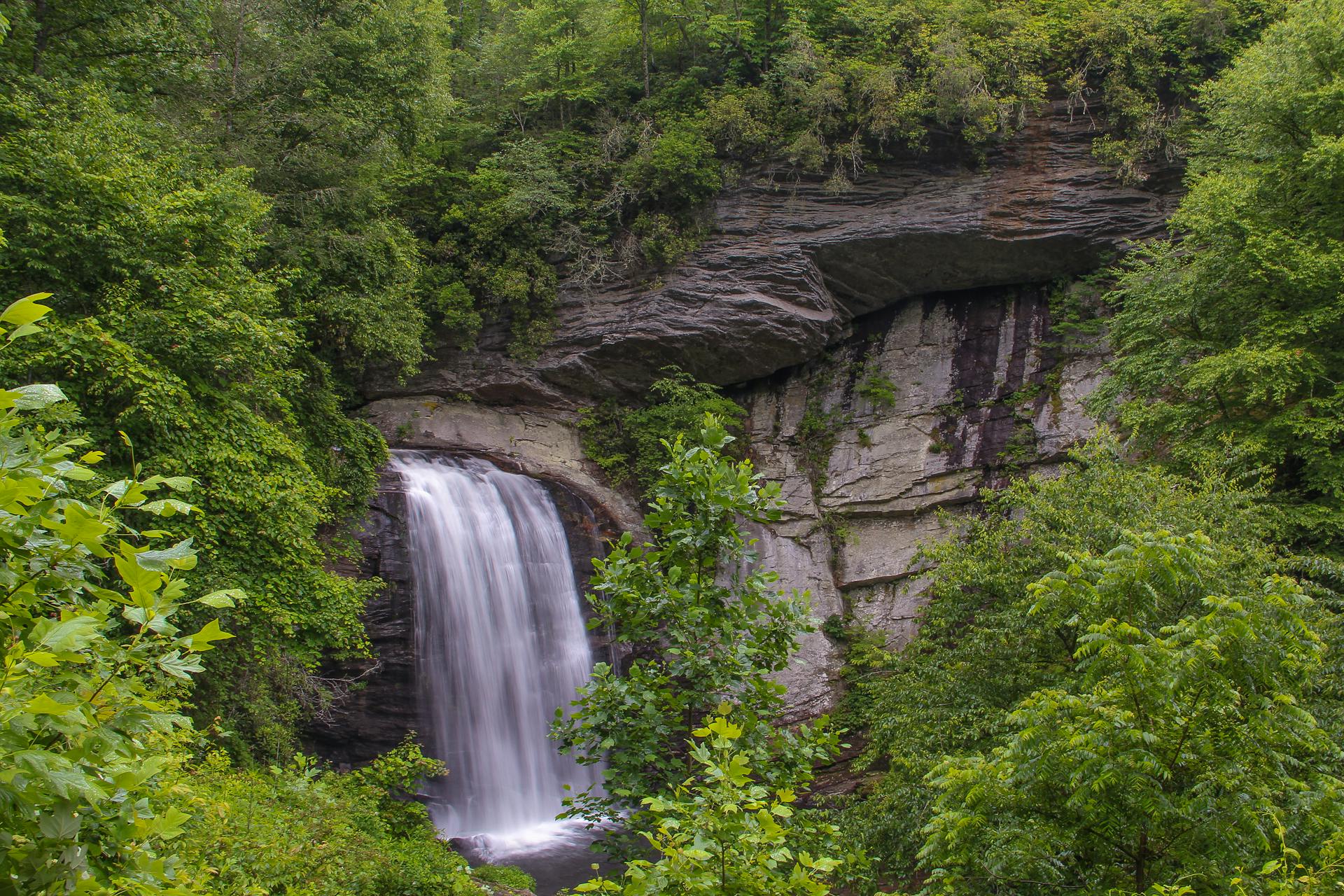 A waterfall in Pisgah National Forest