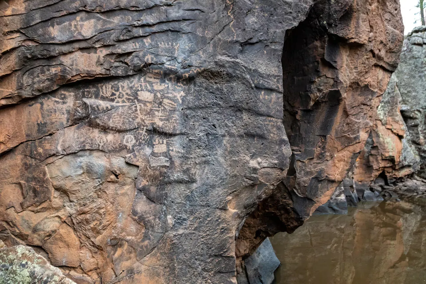  photo of hieroglyphs in kaibab national forest taken by jeff poe
