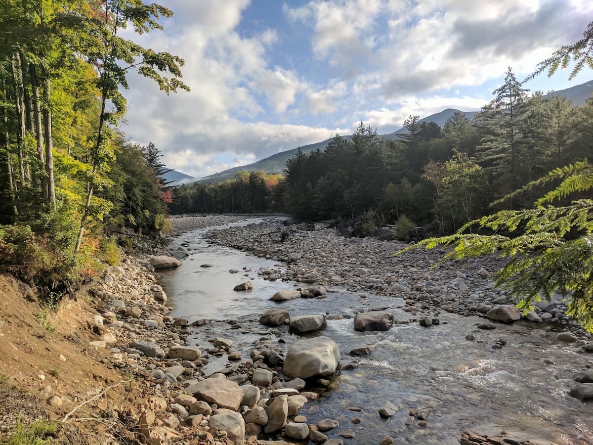 A river running through White Mountain National Forest.