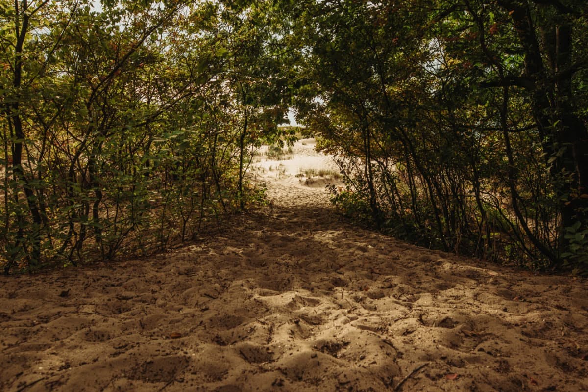 A sandy trail leading to Lake Michigan at Huron-Manistee National Forest captured by Andy and Kris Murphy.