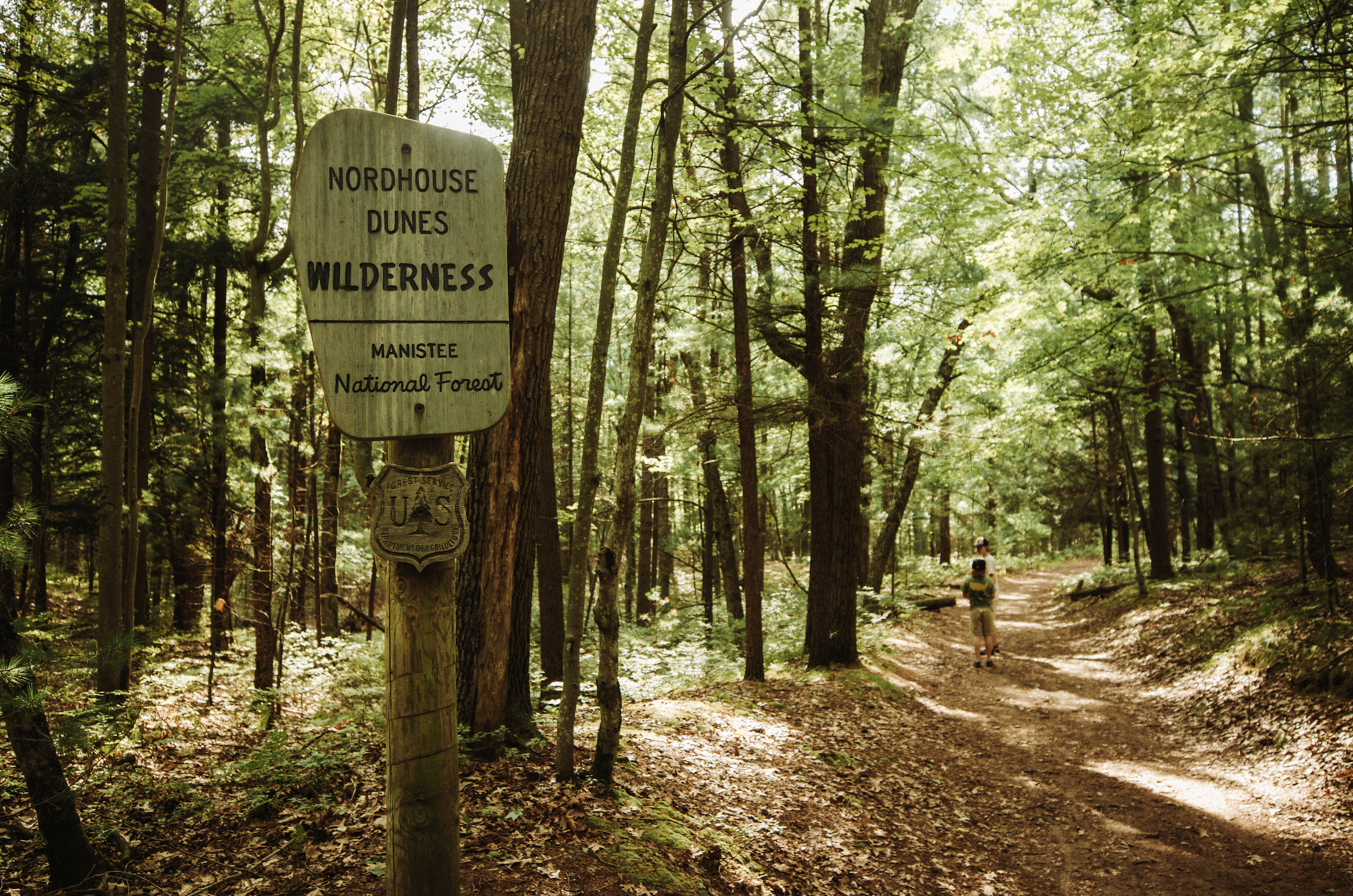 A trail in the Nordhouse Dunes Wilderness area within the Huron-Manistee National Forest, captured by Andy and Kris Murphy