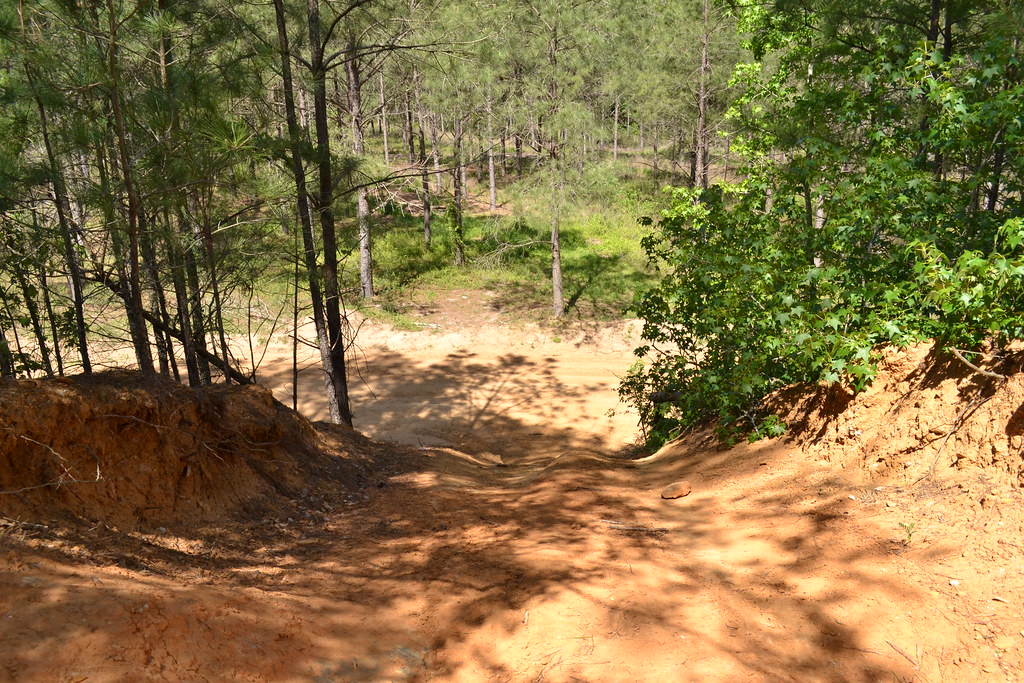 A steep trail leads down a path. 