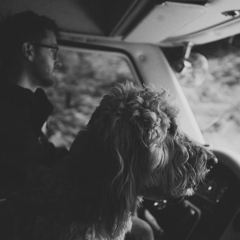 A man driving an RV with a dog sitting in the passenger seat, looking out the front windshield. 