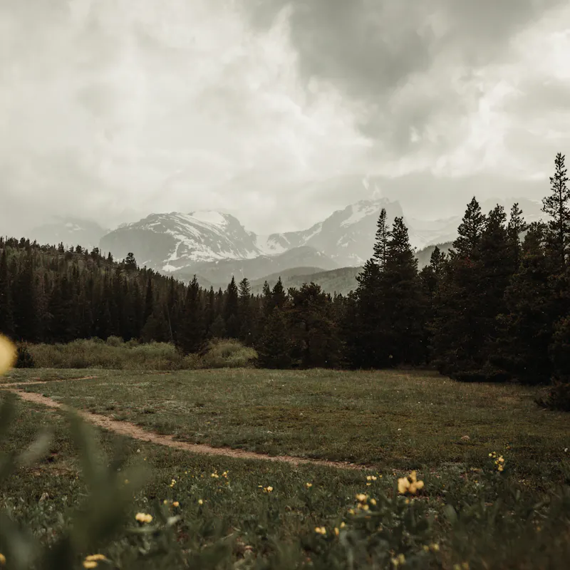 Andy and Kristen Murphy's photo of mountains at Estes Park