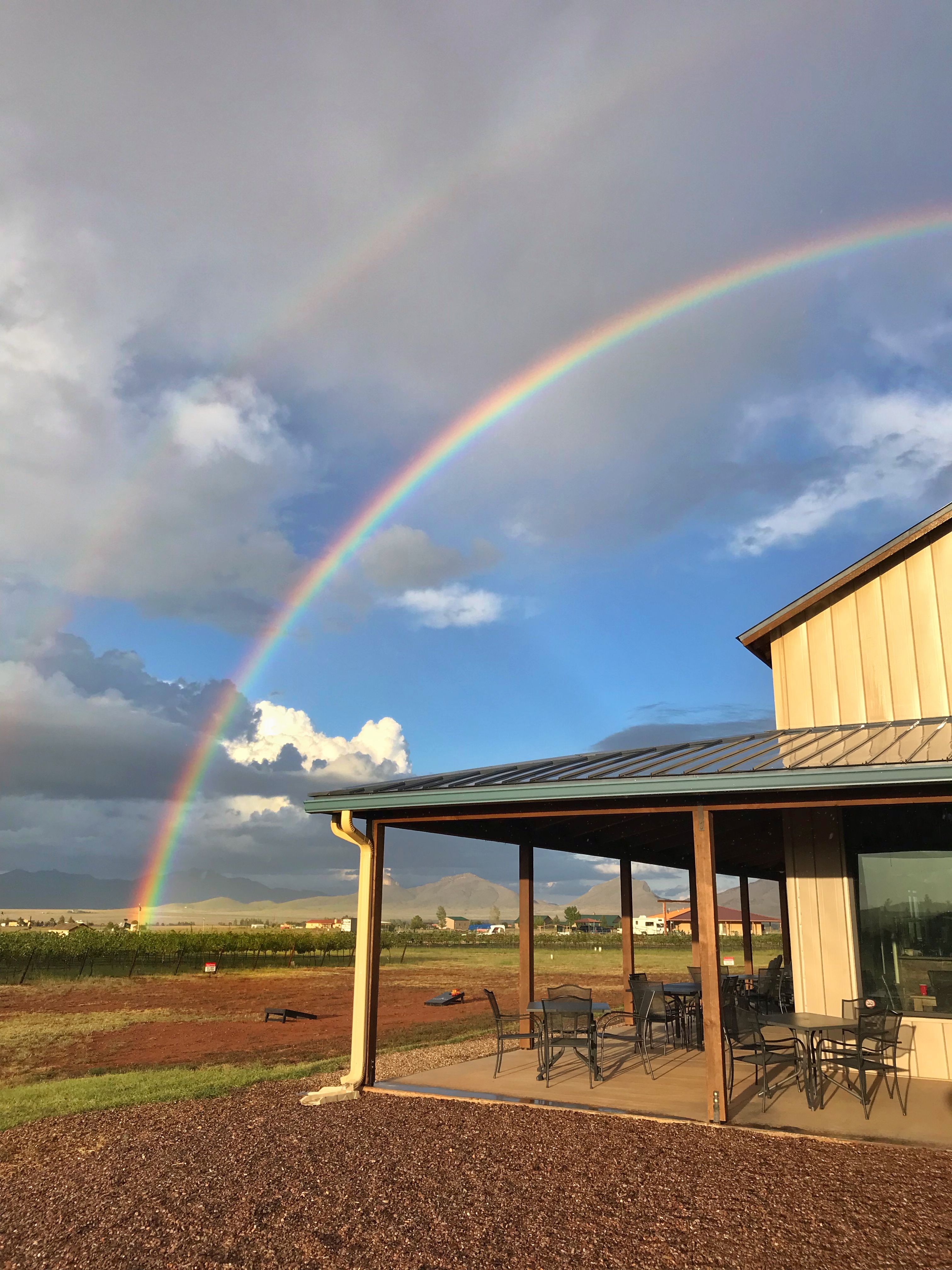 A double rainbow over a vineyard.