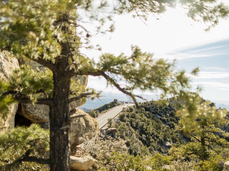 THOR's Greenhouse Gas Commitment