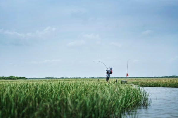 A man fishing on a river, surrounded by aquatic grass and green sky.