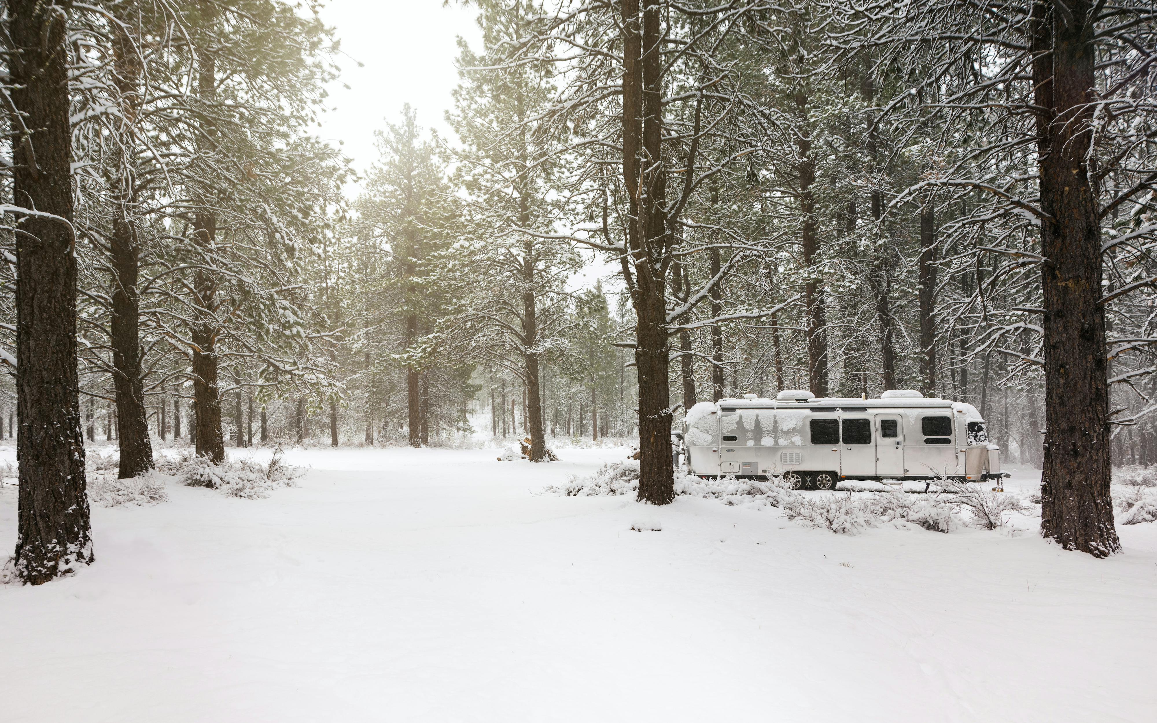 Karen Blue boondocking in a forest