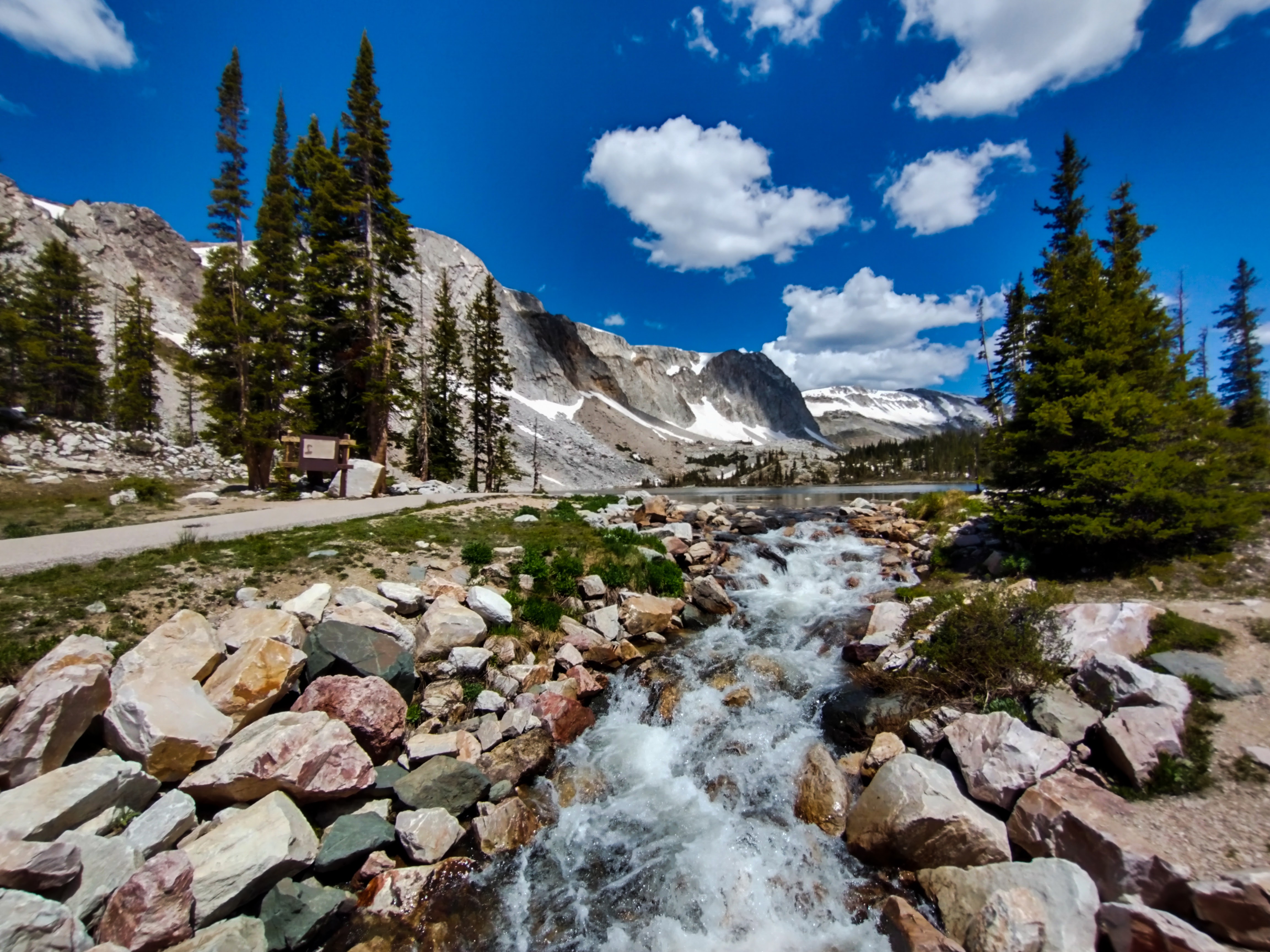 A creek rushing through Medicine Bow National Forest