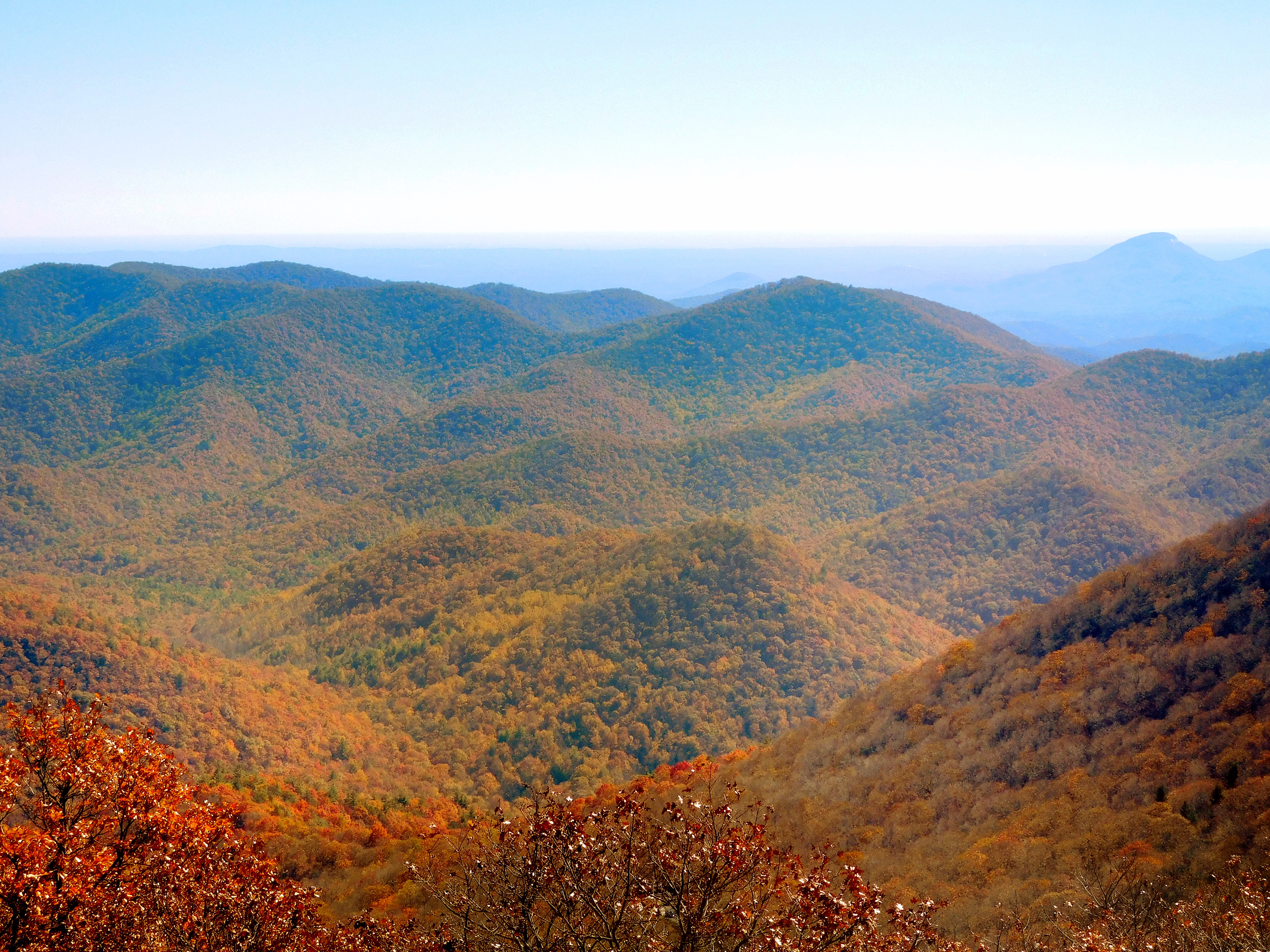 Chattahoochee Oconee National Forest, Georgia - National Forest Foundation