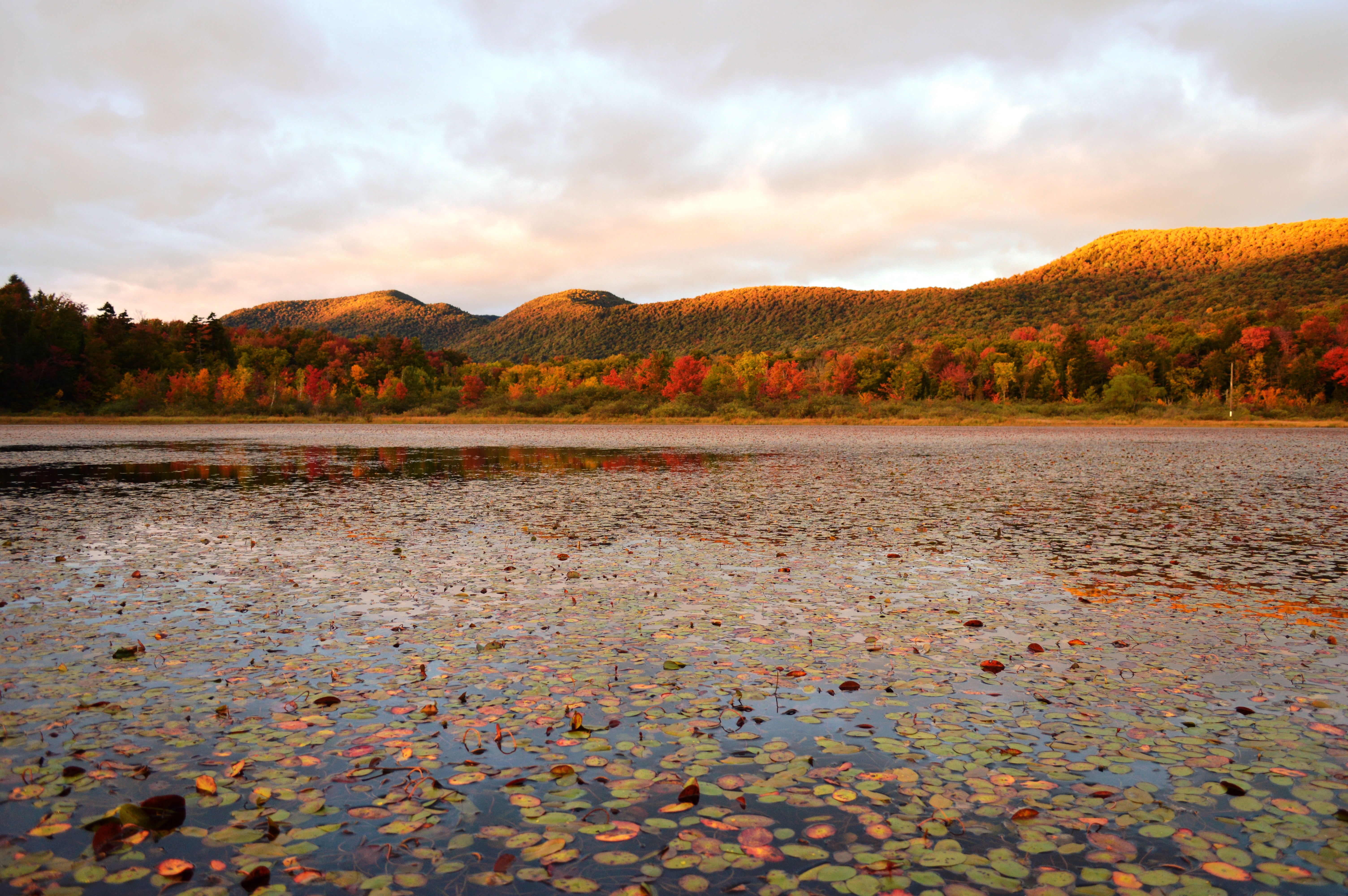 Green Mountain National Forest, Vermont - National Forest Foundation