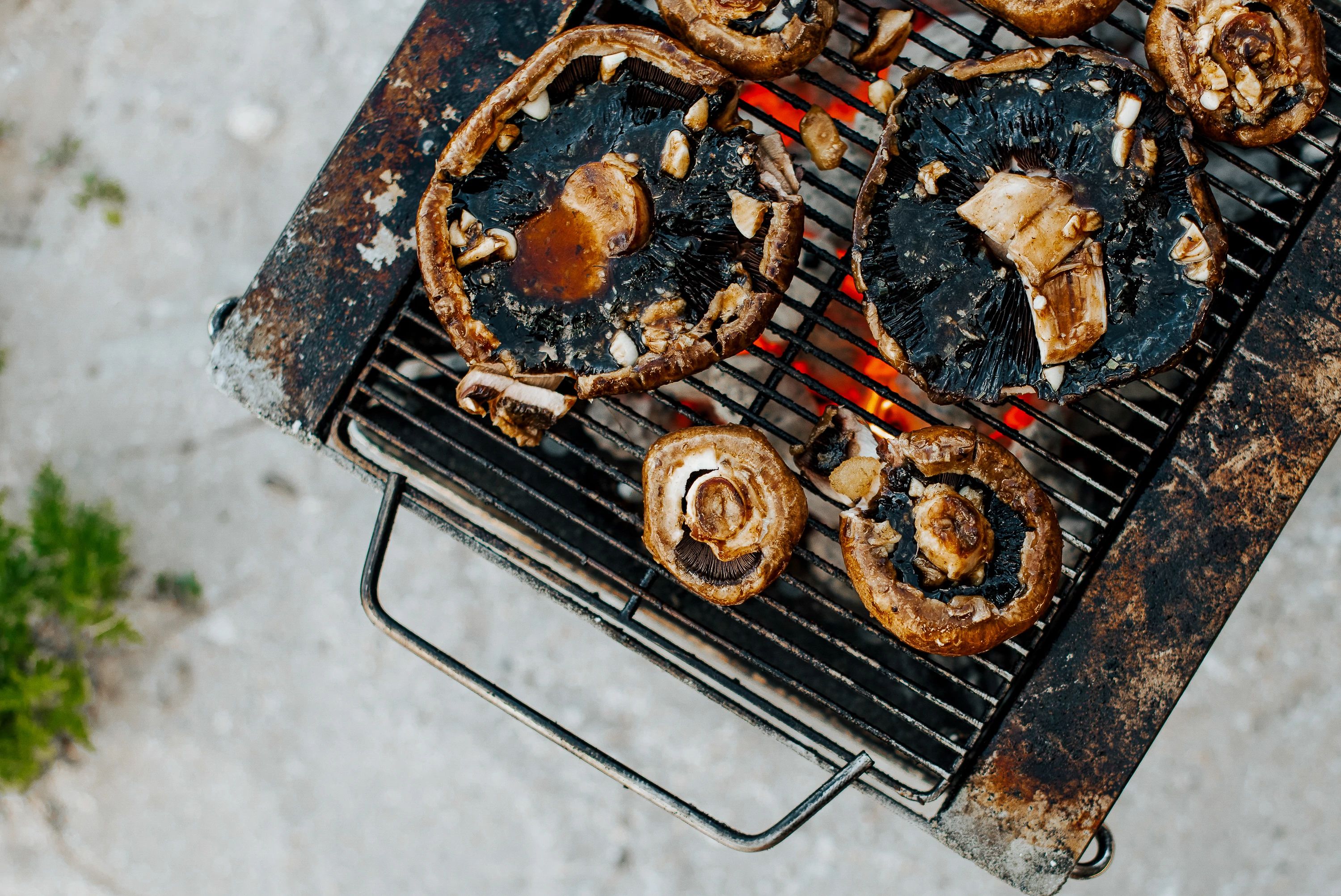 Mushrooms cooking over an open fire 