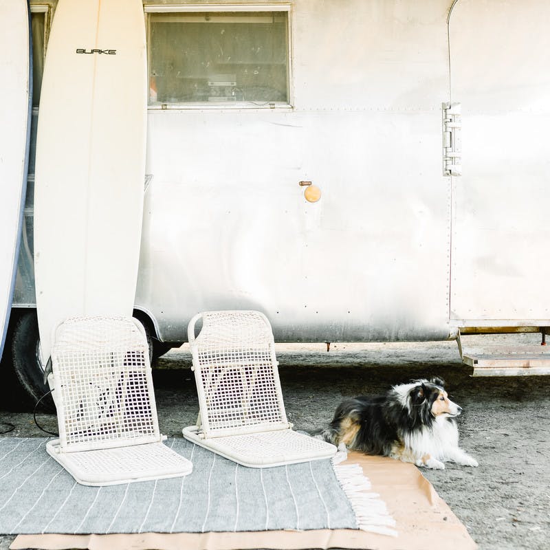 Surf boards, beach chairs, and a fluffy black and white dog sit in front of an Airstream RV.