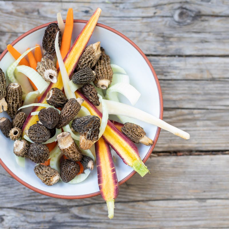 White bowl on picnic table full of rainbow carrots, morels and shaved fennel.