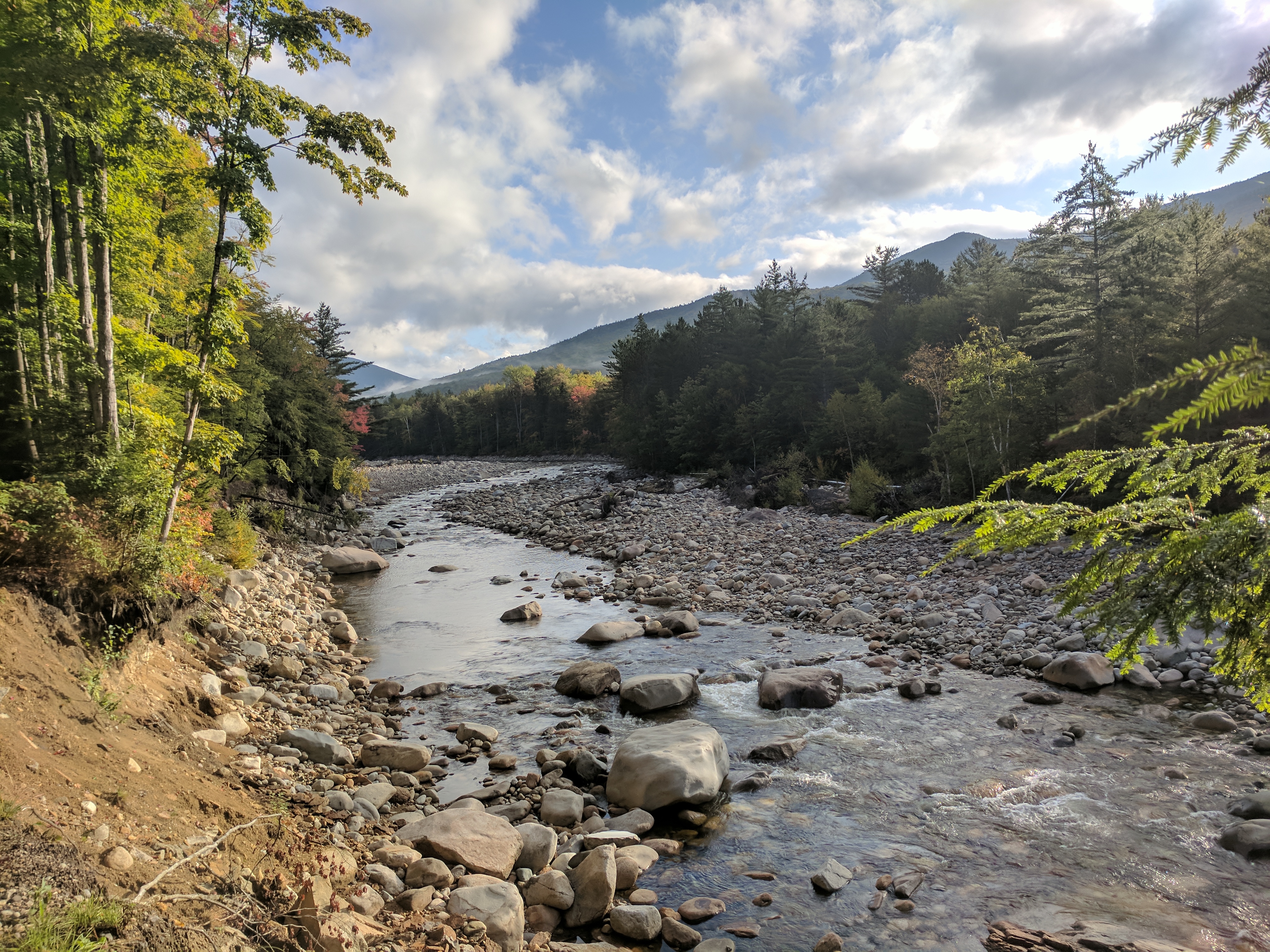 A river running through White Mountain National Forest