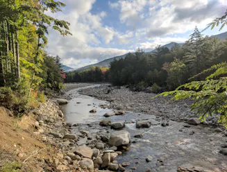 A river running through White Mountain National Forest