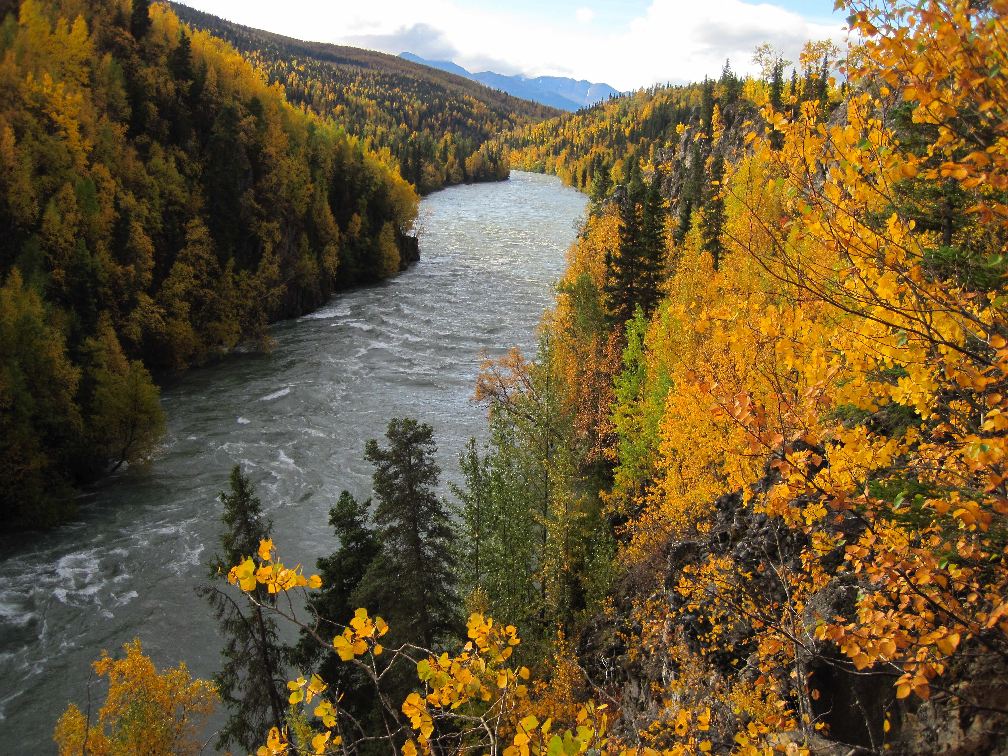 Chugach National Forest, Alaska - National Forest Foundation