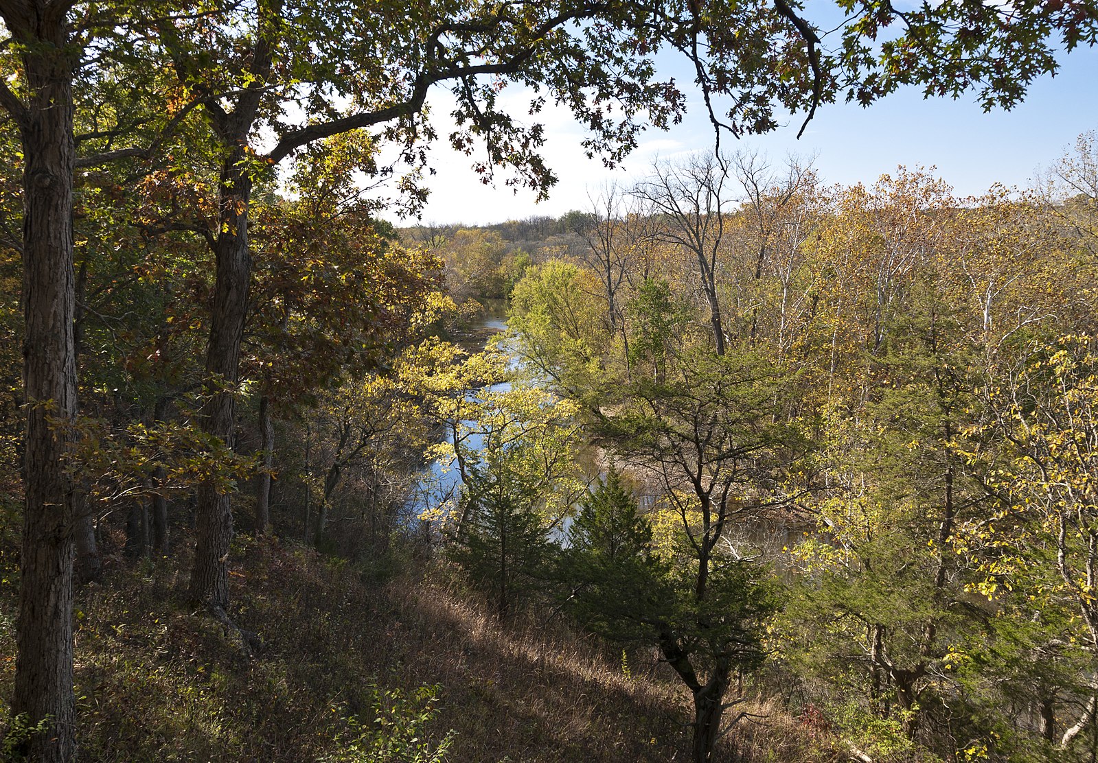 A wooded trail at Battelle Darby Creek Metro Park, Grove City, Ohio.