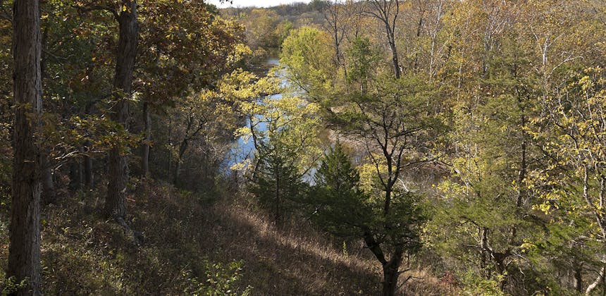A wooded trail at Battelle Darby Creek Metro Park, Grove City, Ohio.