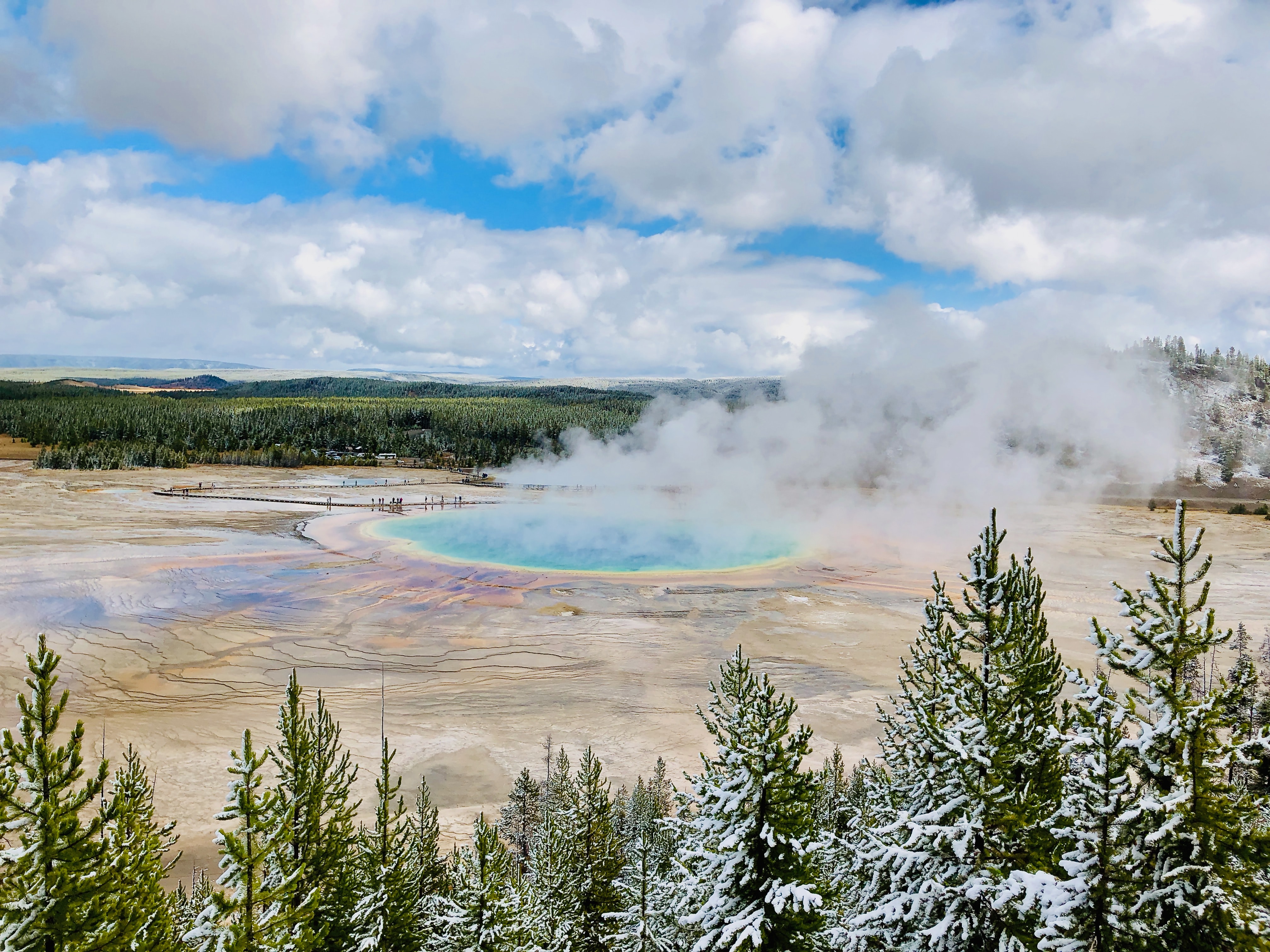 Crystal blue steaming geyser surrounded by clouds and pine trees at Yellowstone National Park