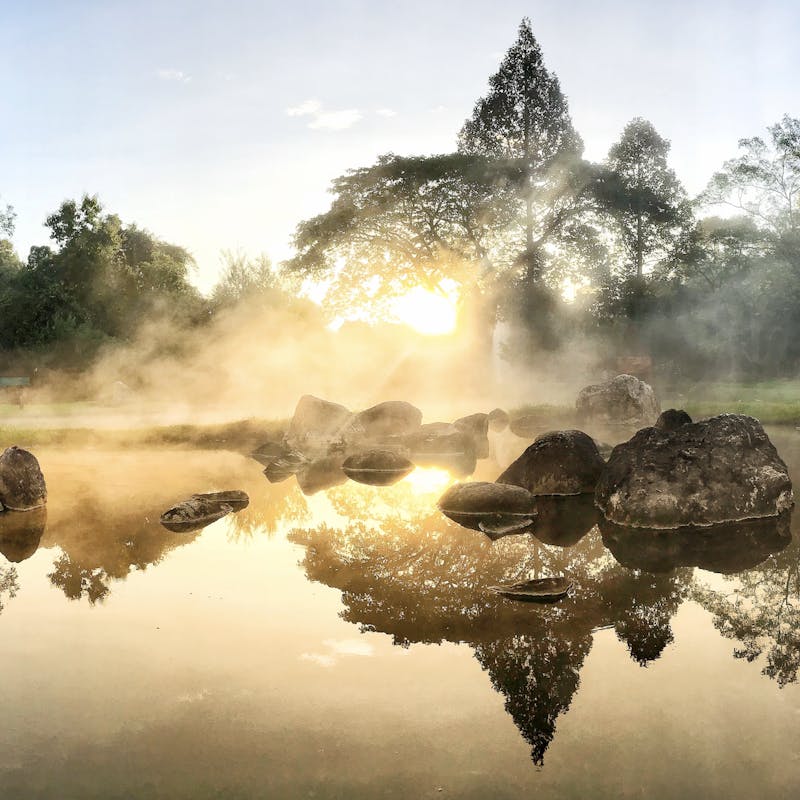 Golden sunrise reflects on a glassy lake with steam rising and tall trees in the background