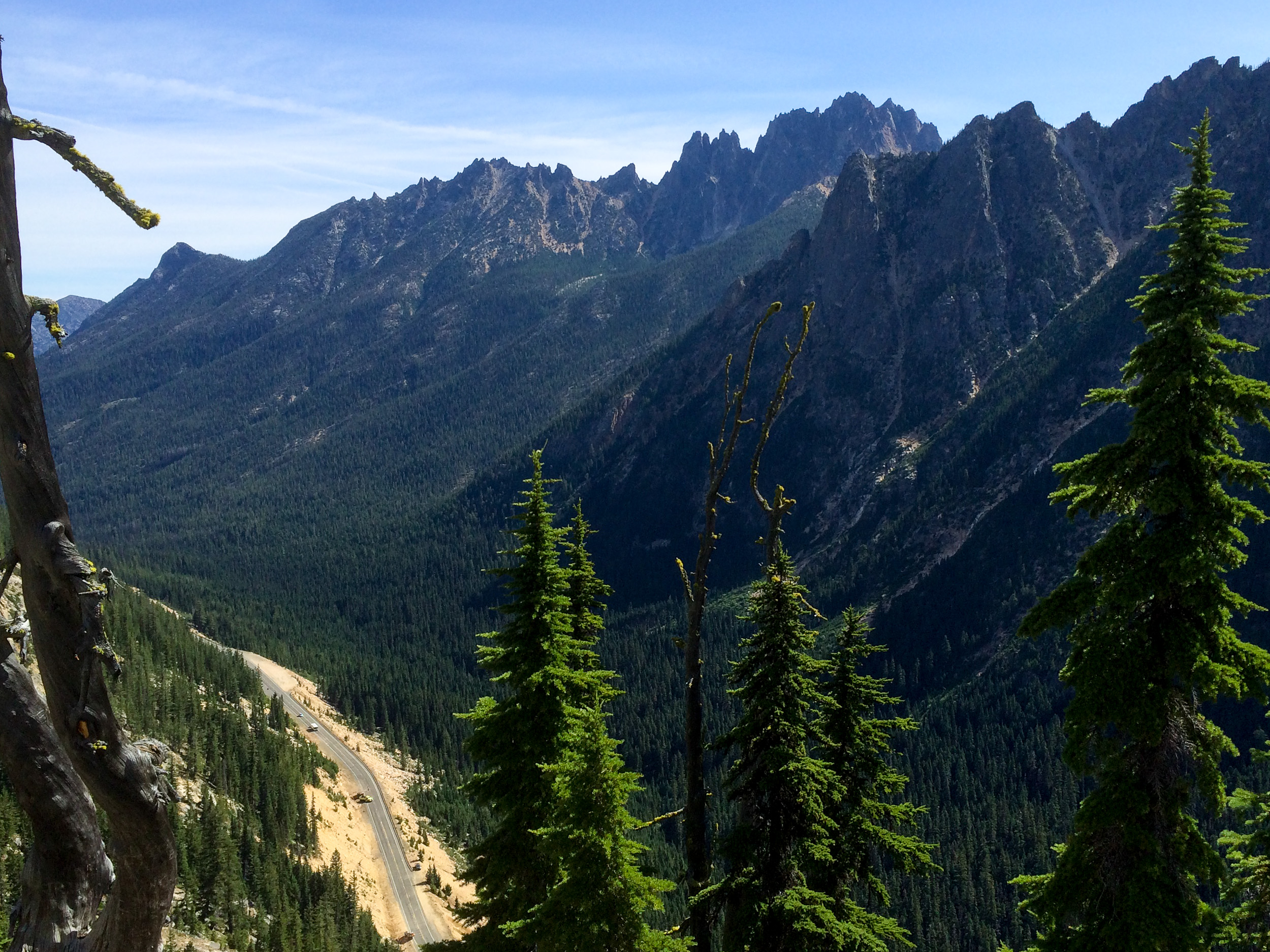 A road running through an evergreen forrest. 