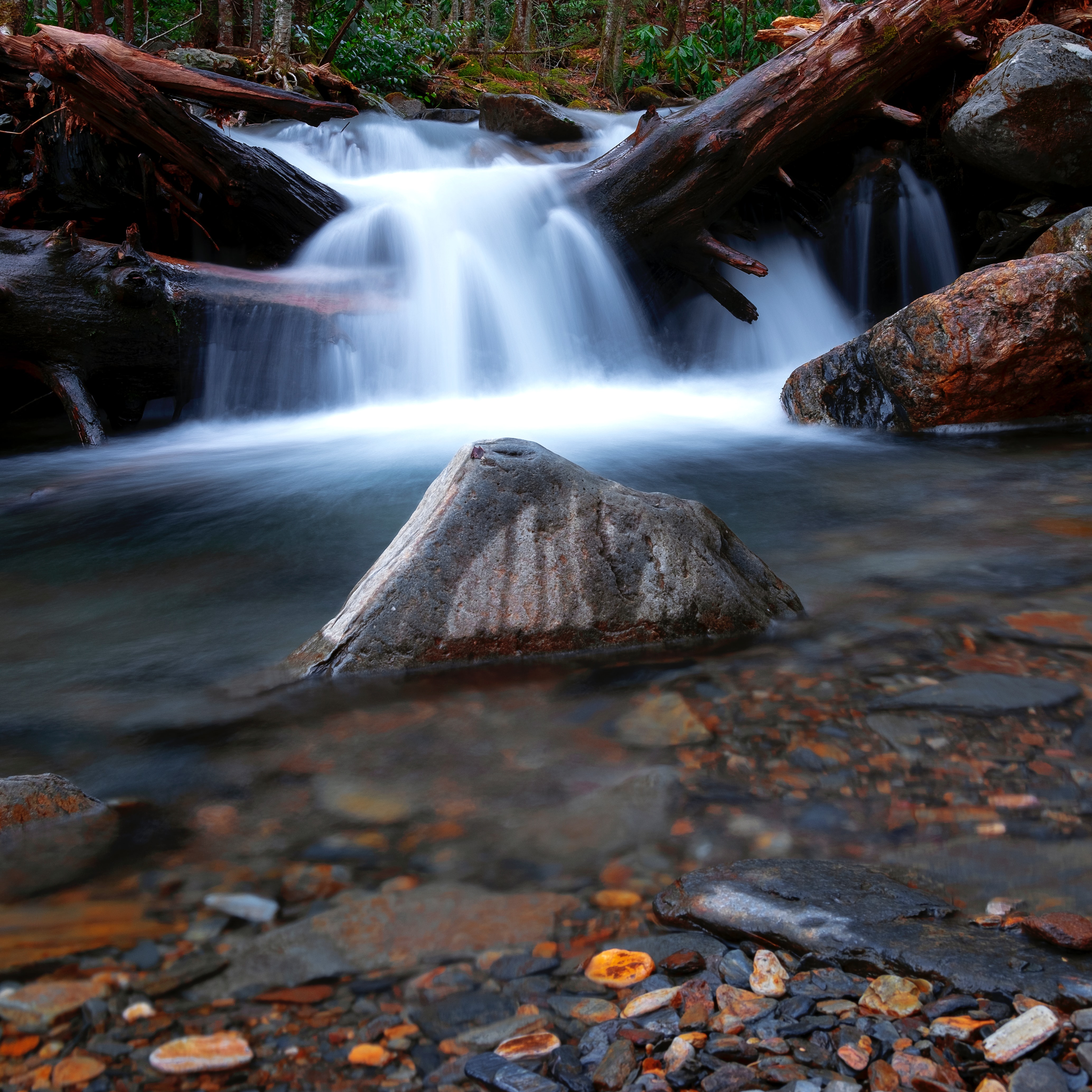 Small waterfall flowing over fallen longs into rocky pond filled with different colored stones