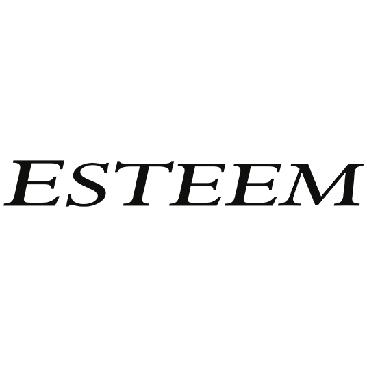 esteem