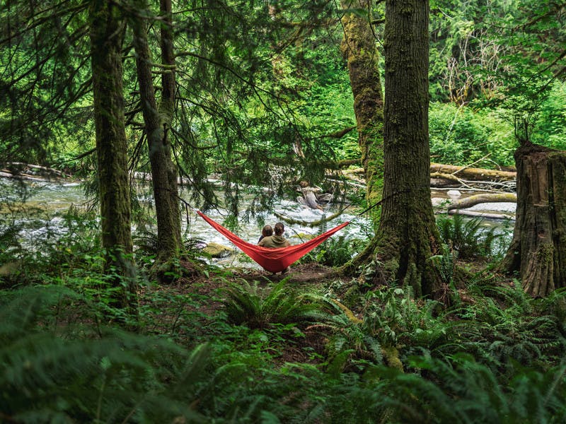 Father in son in hammock on river edge in rainforest