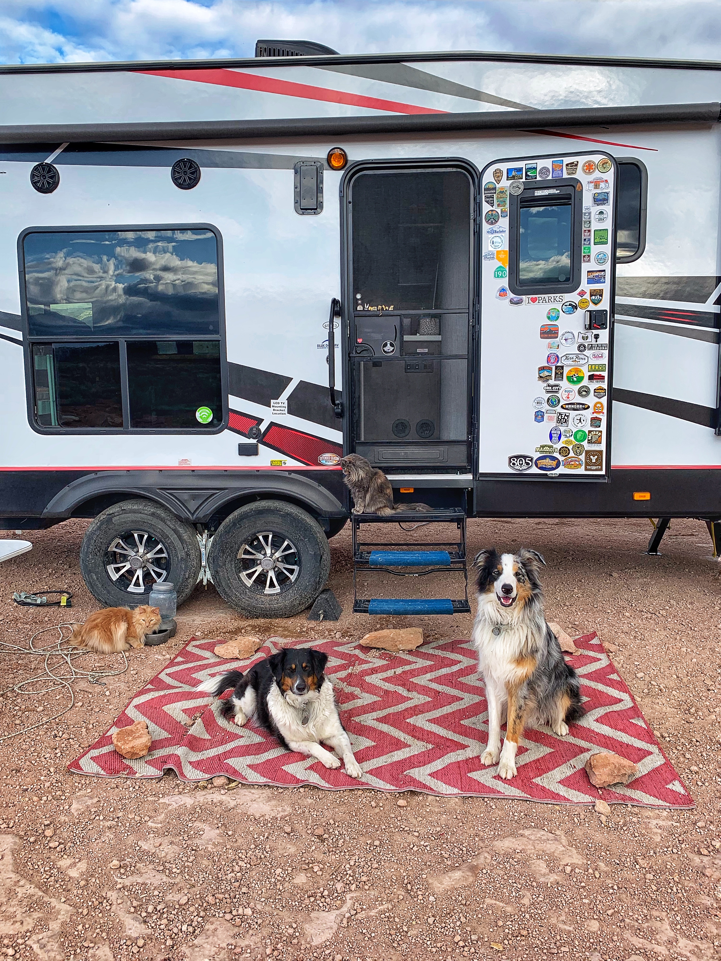 Amy Rekart's two dogs and two cats enjoy time outside of their 2020 Cruiser Stryker RV.
