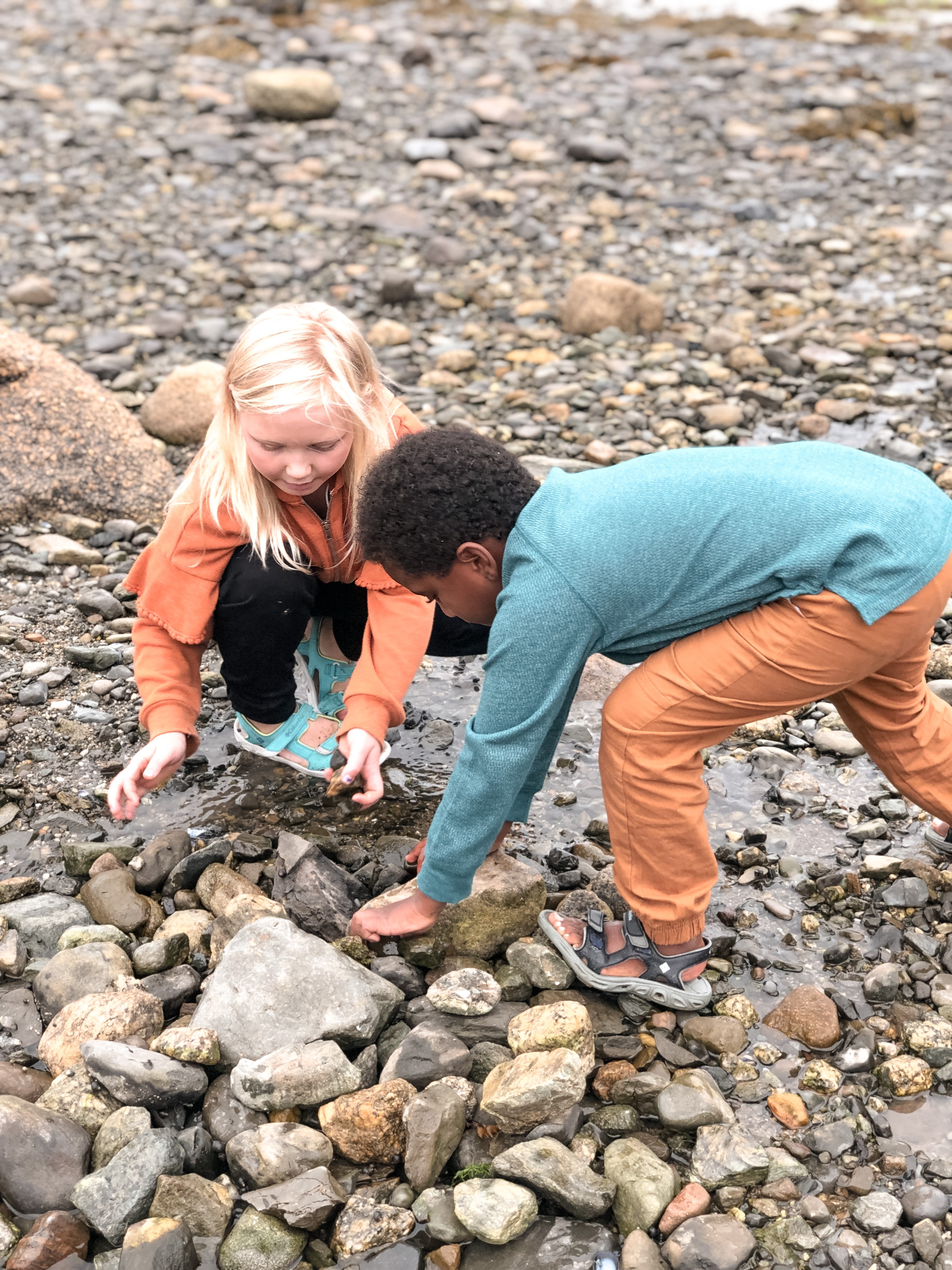 Shannon Carew's children discover rocks together.
