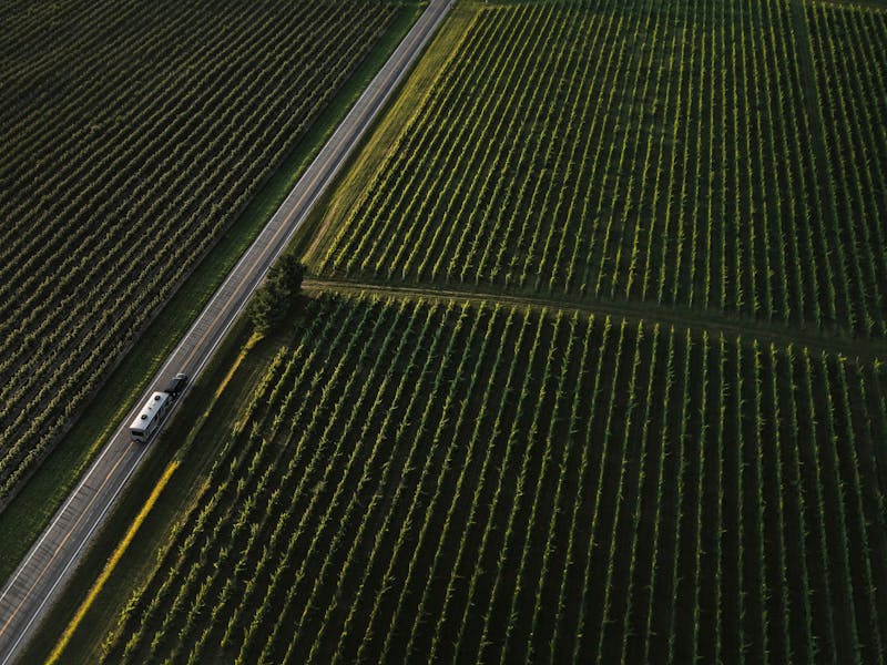 Keystone Loredo driving down a road next to an apple orchard