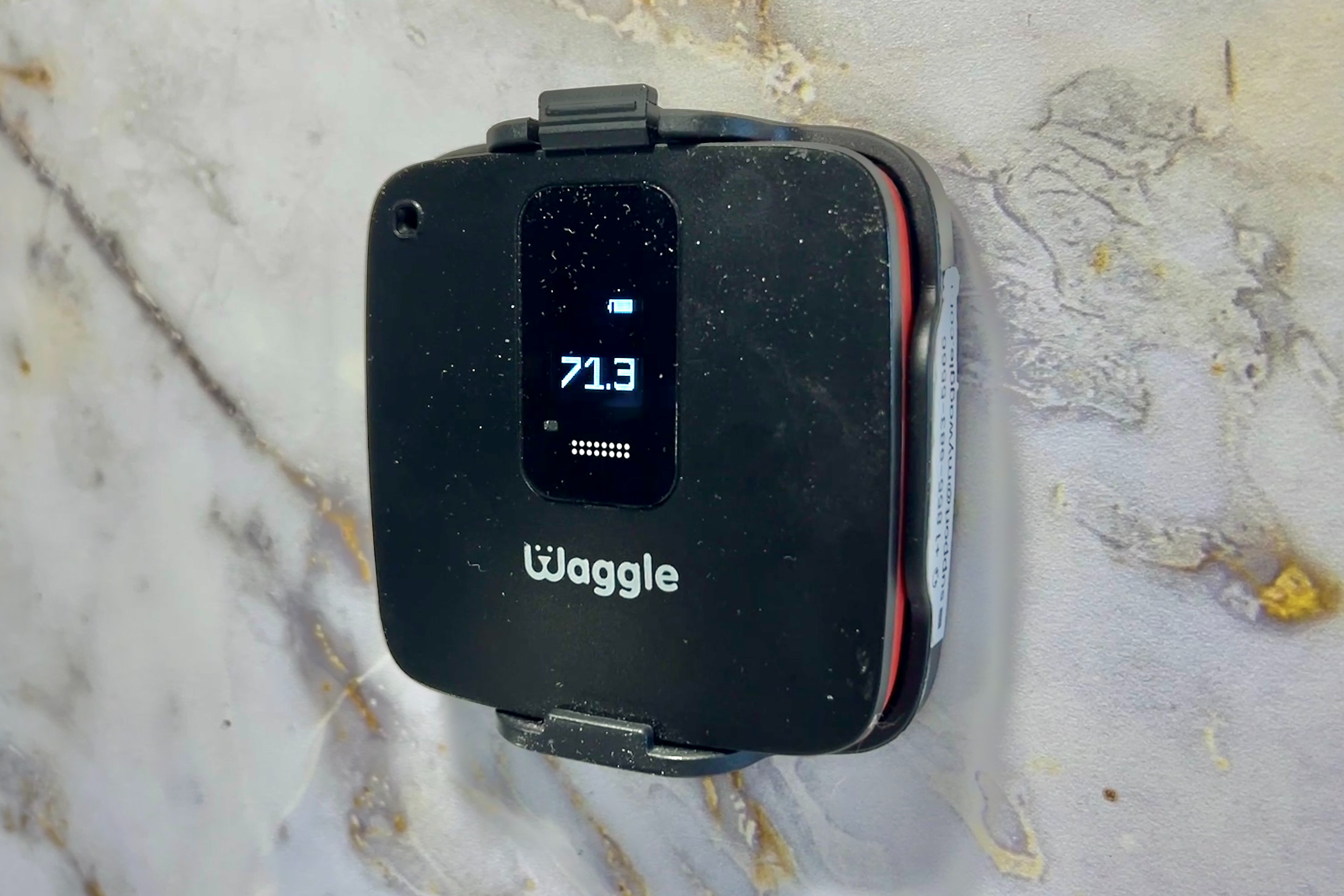 A Waggle pet monitor inside Bailey and Nicole Damberg's Dutchmen Astoria 