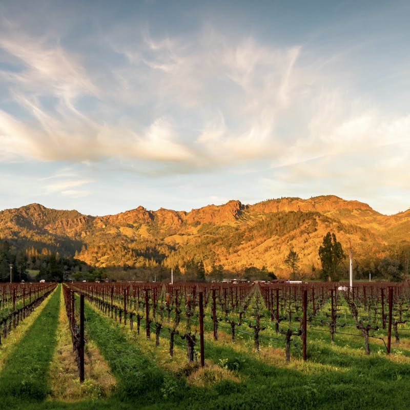 Sun setting on rocky foothills in front of rows and rows of green grass and wine vineyards